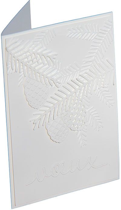 Branches et pommes de pin by Stampin'Up!