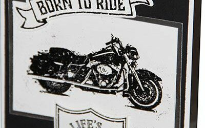 Journée Mondiale de la carterie – Création n°6