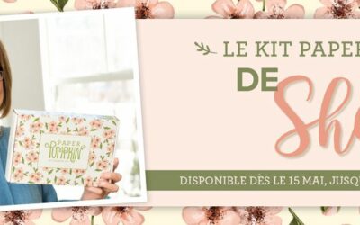 Paper Pumpkin – Bisous de Shelli