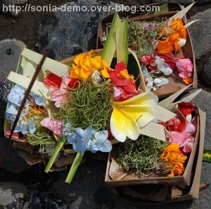 offrande bali