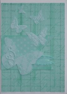 papillons virginie prevost