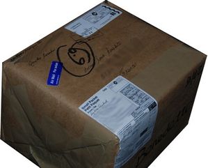 Pinceau altéré de Sylvie du Québec