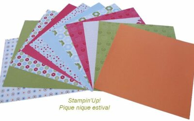 Pique nique estival et Dame de kit