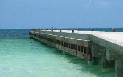 De retour de Cuba….