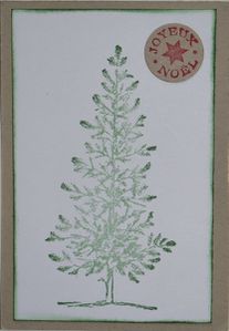 sapin agnes le trecole