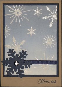 swap 23 01 10 emilie