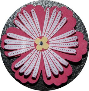 swap fanny souvelain