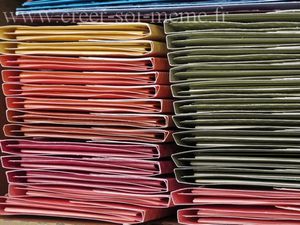 swap lignee formation mars 2012