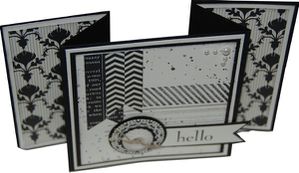 swap voyage incitatif 2013 su jennie cass