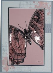 swap voyage incitatif 2013 su sue madex