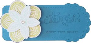 tag c est trop gentil heidi czajkowski