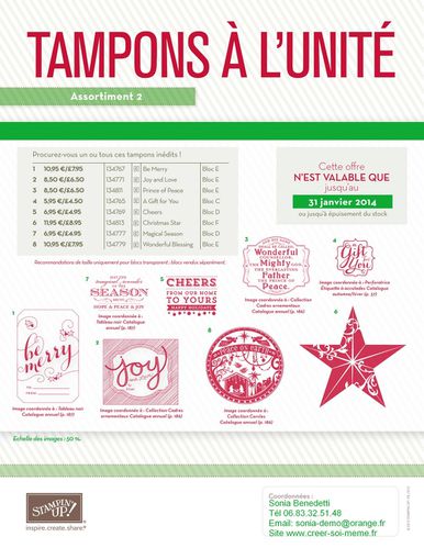 tampons-noele-a-l-unite-stampin-up-2013.jpg
