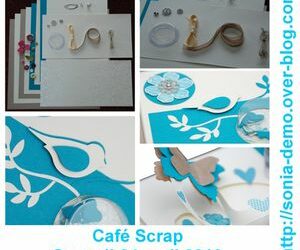 Les projets pour la crop du 24 avril en Normandie