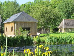 vue de la mare sur la petite maison de rose