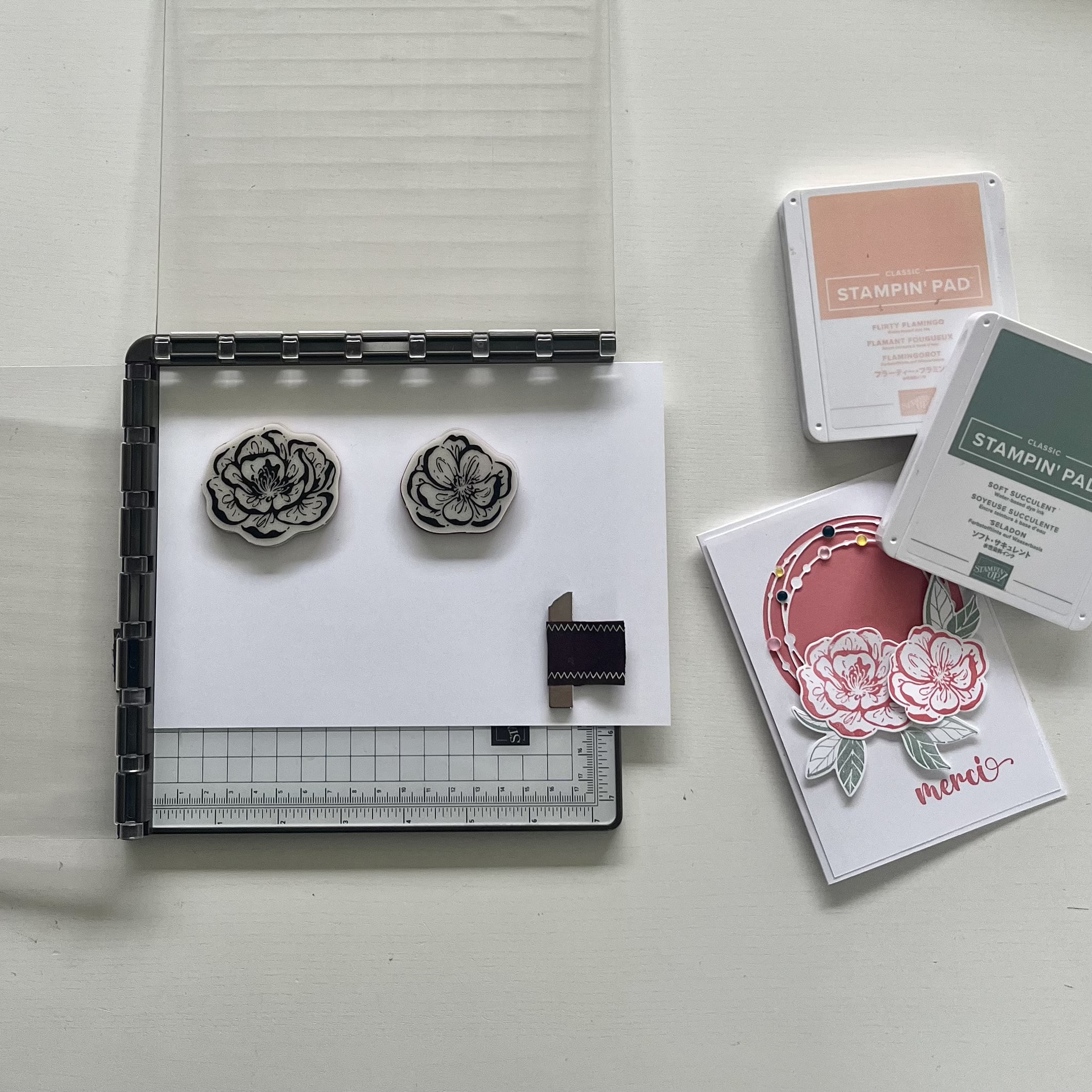 Image tuto utilisation du stamparatus stampinup