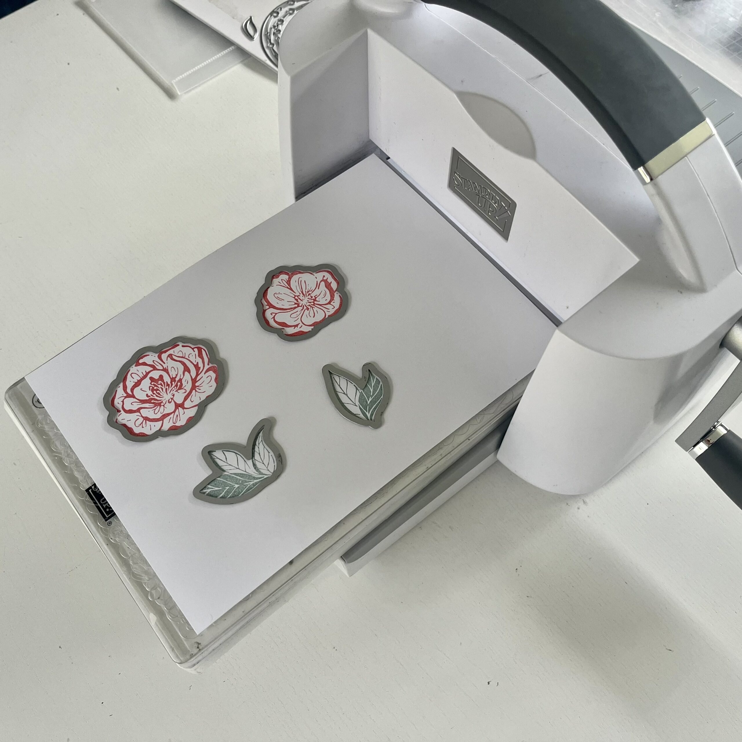 Image tuto utilisation du stamparatus stampinup