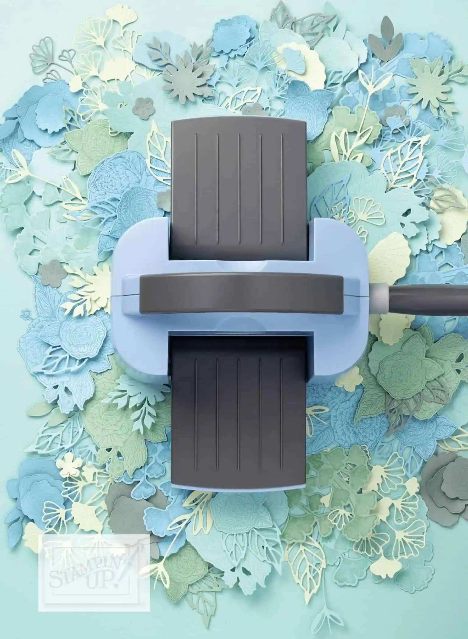 Encore plus de raison de célébrer Sale a bration l'offre exclusive de stampin'Up 