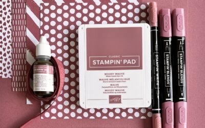 Le club des in colors fait peau neuve ! ✨